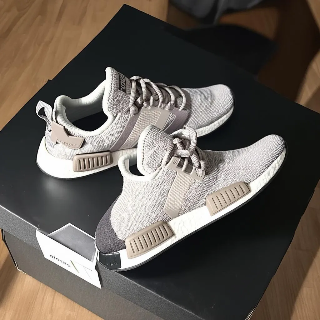 giay-adidas-nmd-chinh-hang