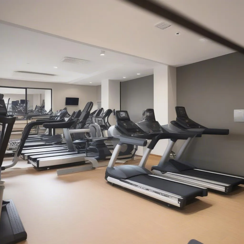 Phòng tập gym hiện đại