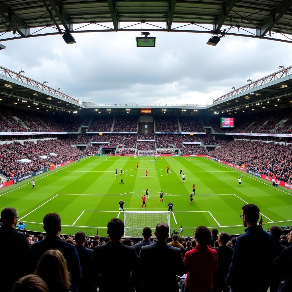 Cầu Thủ Fulham Trên Sân Craven Cottage